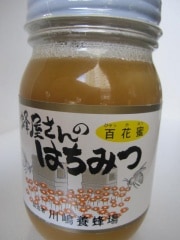 ˪������ΤϤ��ߤġ�ɴ��̪��460��