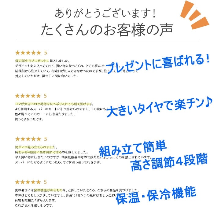 ショッピングカート 折りたたみ 買い物カート 保温 保冷 おしゃれ レディース 8色 人気 ヴァレンチノヴィスカーニ VALENTINO VISCANI KBN15161