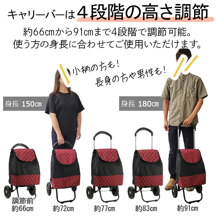 ショッピングカート 折りたたみ 買い物カート 保温 保冷 おしゃれ レディース 8色 人気 ヴァレンチノヴィスカーニ VALENTINO VISCANI KBN15161