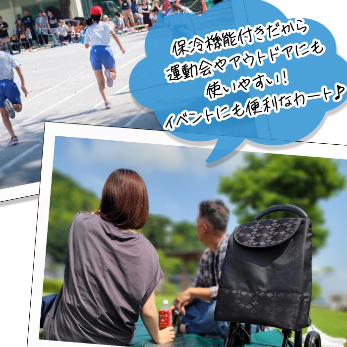 ショッピングカート 折りたたみ 買い物カート 保温 保冷 おしゃれ レディース 8色 人気 ヴァレンチノヴィスカーニ VALENTINO VISCANI KBN15161