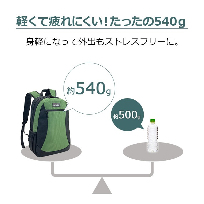防災の日 リュック デイパック 軽量 軽い 2層 前後 防災 旅行 ジム アウトドア 男女兼用 メンズ レディース ファミリー 1泊 22L GULLWING KBN42594