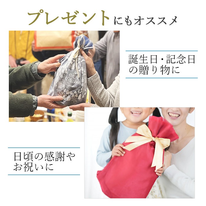 ポーチ セカンドバッグ クラッチバッグ メンズ 黒 日本製 国産 豊岡製 横 横型 ナイロン 裏PVC コンパクト カジュアル GUSTO KBN25943