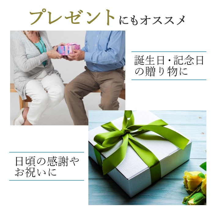 ショルダーバッグ サコッシュ 日本製 豊岡製鞄 メンズ B5 旅行 外出 シンプル 黒 キャメル ANDY HAWARD KBN16421