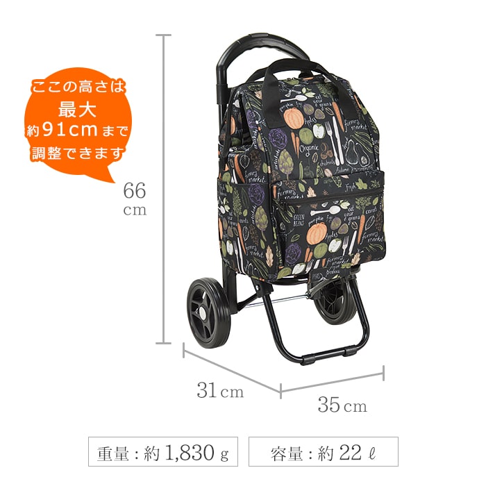 ショッピングカート ショッピングキャリー 買い物カート メンズ 2輪 買い物 レジャー 折りたたみ 高さ調節可能 VALENTINO VISCANI KBN15186