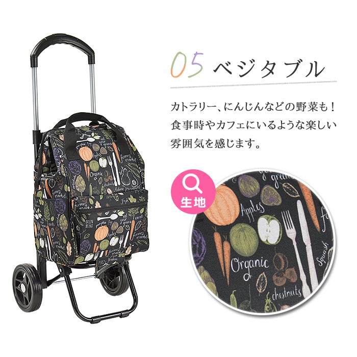 ショッピングカート ショッピングキャリー 買い物カート メンズ 2輪 買い物 レジャー 折りたたみ 高さ調節可能 VALENTINO VISCANI KBN15186