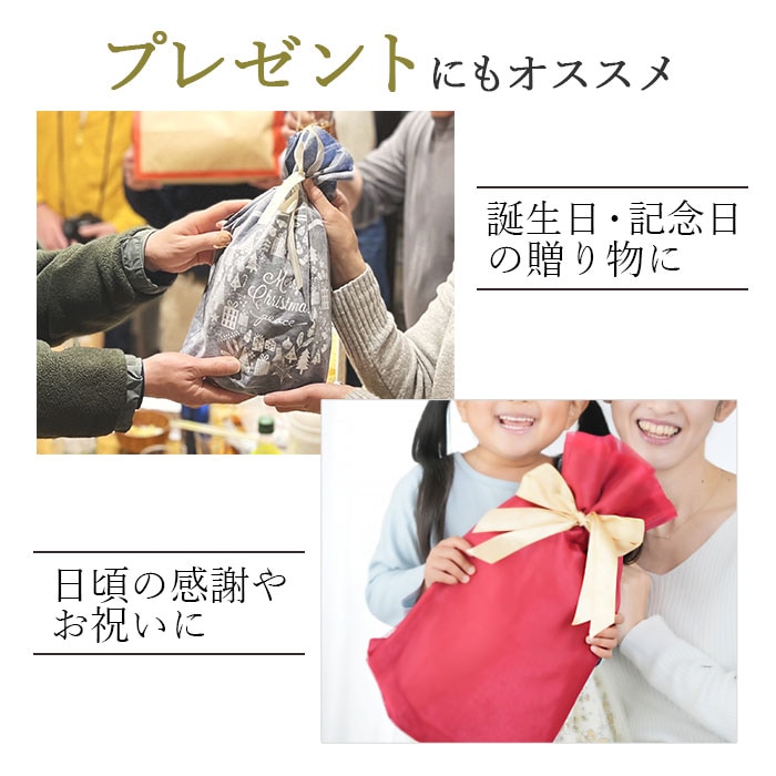 ショルダーバッグ カジュアルバッグ 縦 日本製 国産 豊岡製鞄 メンズ B5 高密度ナイロン 薄マチ 軽量 カジュアル 普段使い 旅行 黒 PHILIPE LANGLET KBN33772