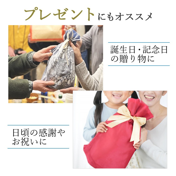 クラッチバッグ ポーチ バッグインバッグ メンズ B5サイズ 黒 横 横型 薄マチ HAMILTON KBN23490