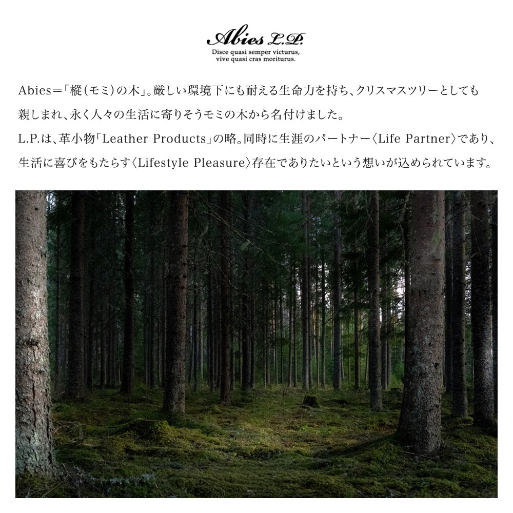栃木レザー 二つ折り財布（小銭入れなしタイプ）日本製 牛革 ABIES L.P.（アビエス）日本最高峰のタンニンなめし革