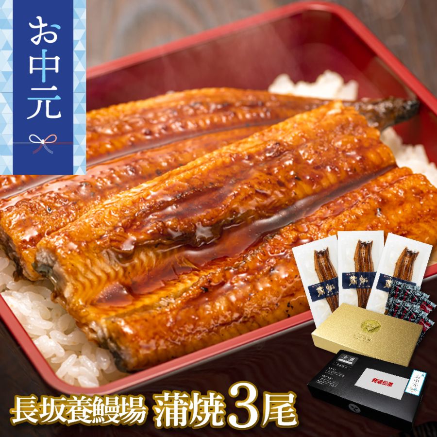 【お中元セット】愛知三河一色産　長坂養鰻場の蒲焼　(119g-134g)　3本　中