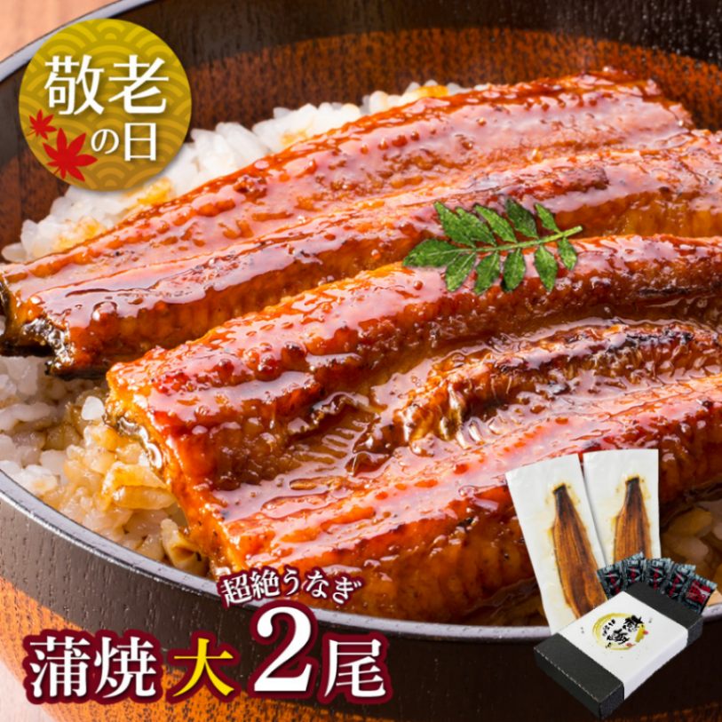 【敬老の日セット】愛知三河産　超絶うなぎ蒲焼（156g-183g）×大2尾