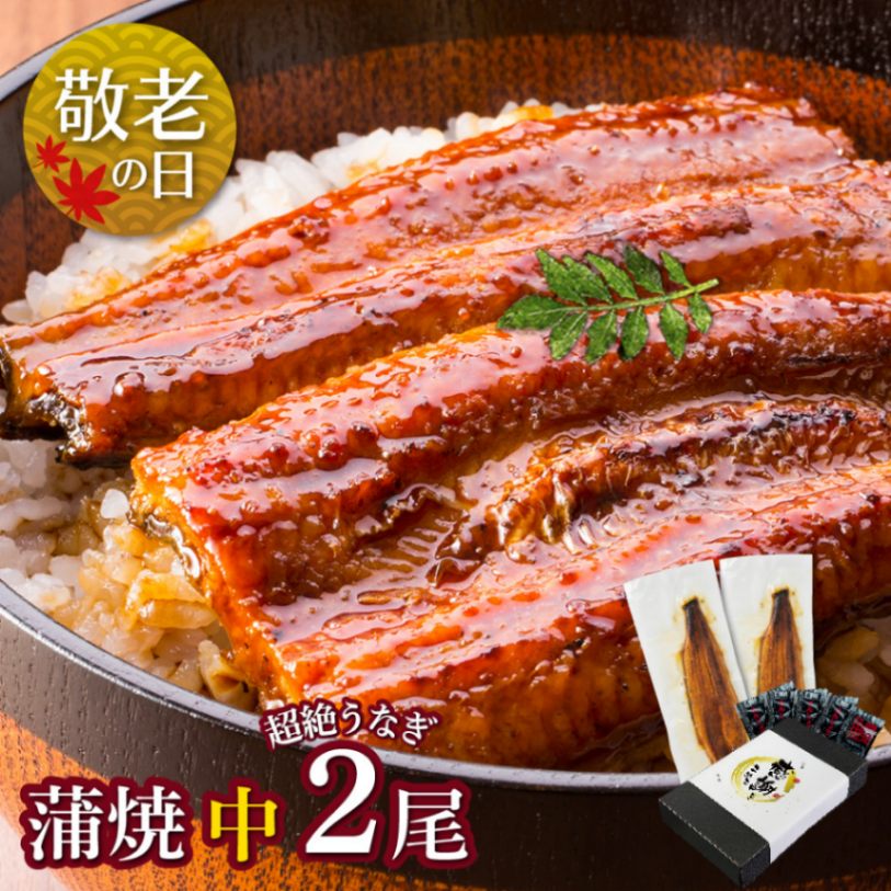 【敬老の日セット】愛知三河産　超絶うなぎ蒲焼（119g-134g）×中2尾