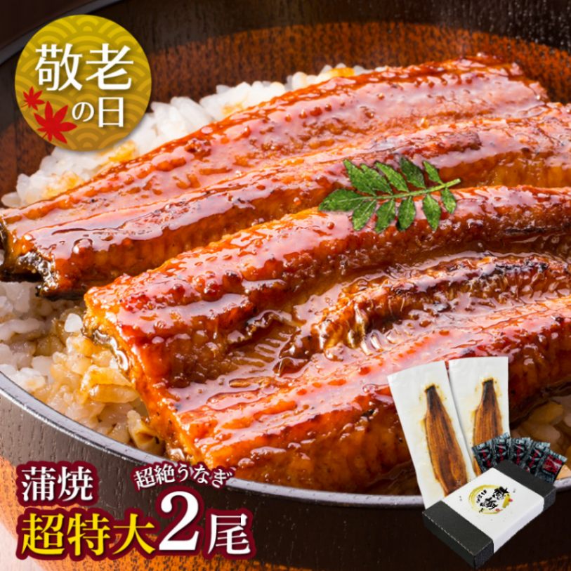 【敬老の日セット】愛知三河産　超絶うなぎ蒲焼（269g-309g）×超特大2尾