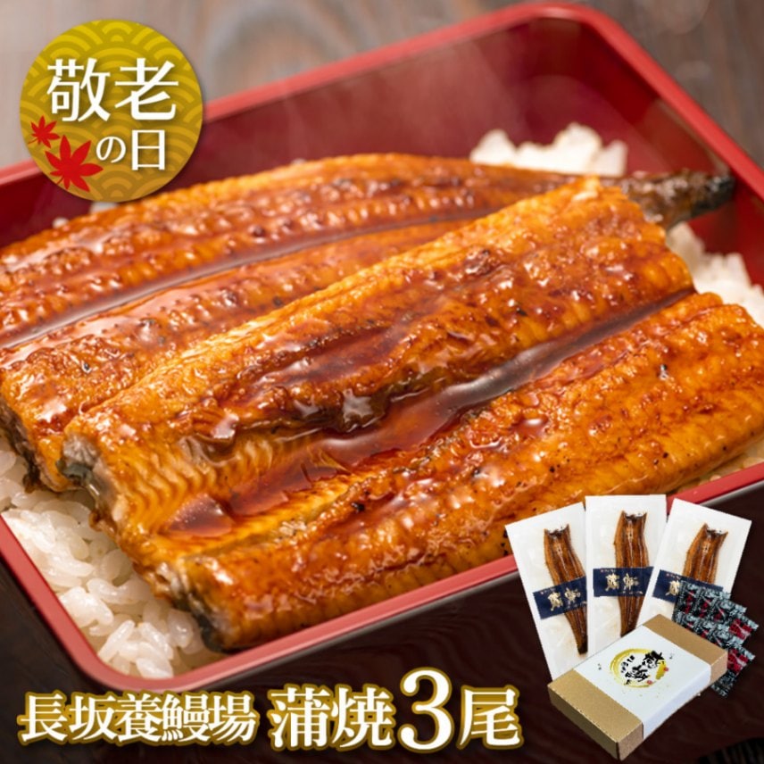 【敬老の日セット】愛知三河一色産　長坂養鰻場の蒲焼　(119g-134g)　3本　中