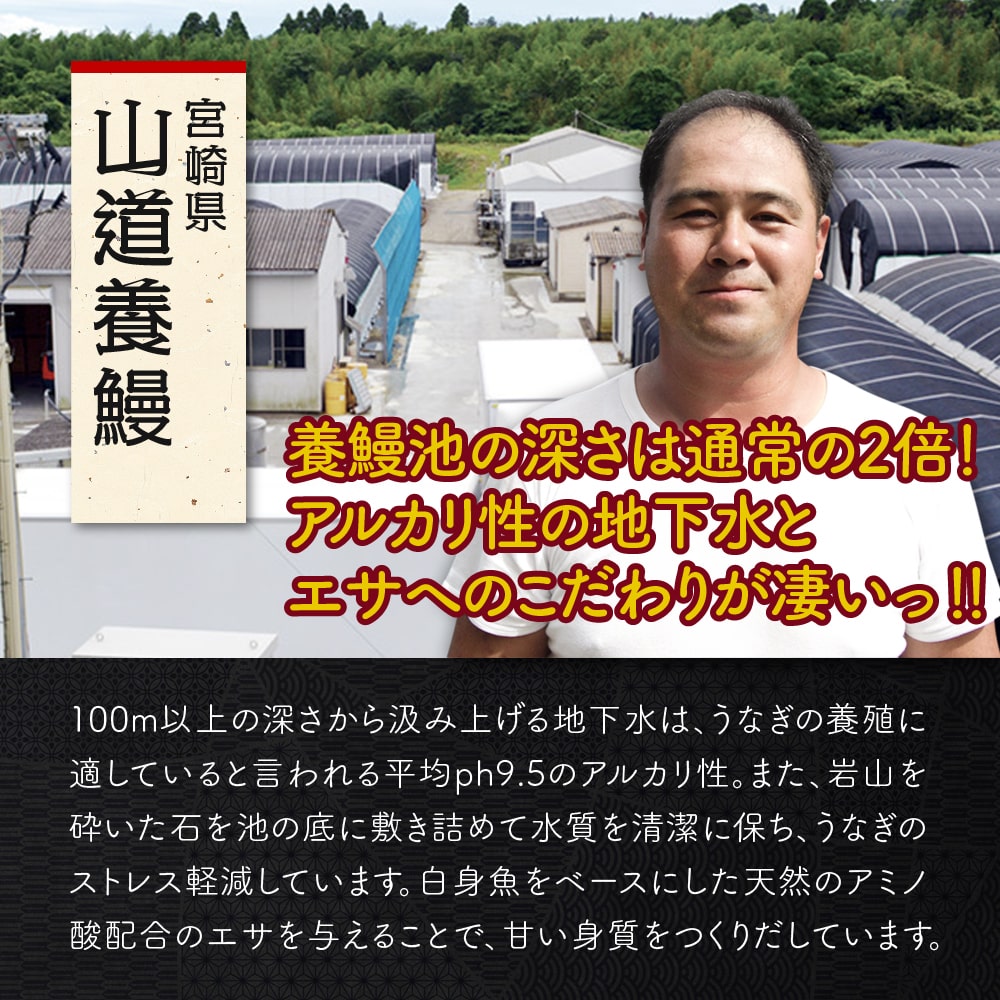 【お歳暮ギフト】生産者の食べ比べ　金セット　