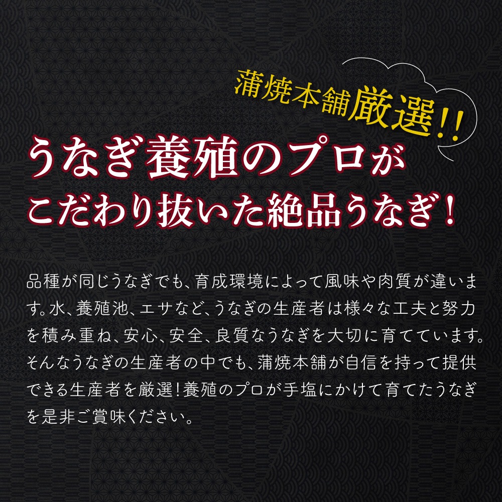 【お歳暮ギフト】愛知三河一色産　長坂プレミアムセット　2人前