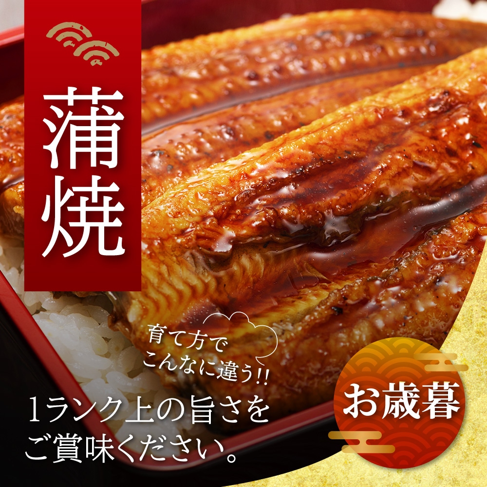 【お歳暮ギフト】愛知三河一色産 長坂養鰻場の蒲焼 (119g-134g) 3本 中