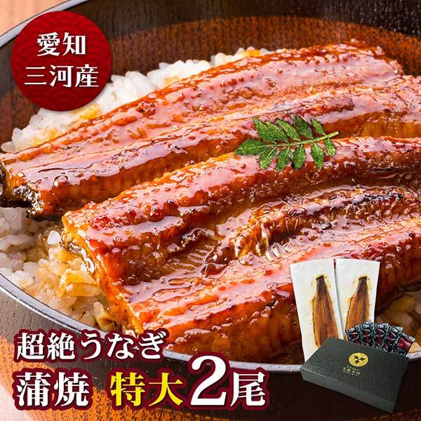 愛知三河産　超絶うなぎ蒲焼（212g-236g）×特大2尾