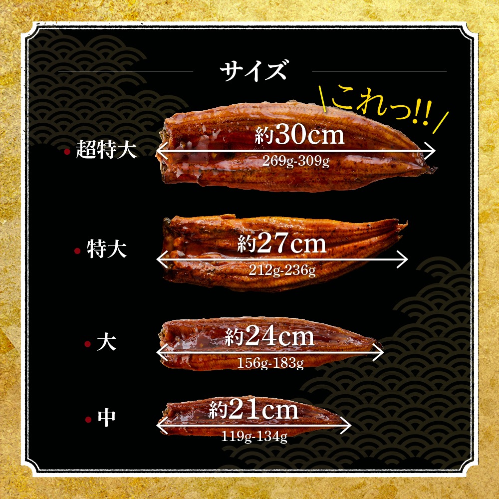 【お歳暮ギフト】愛知三河産　超絶うなぎ蒲焼（269g-309g）×超特大2尾
