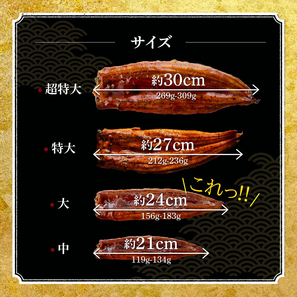 【お歳暮ギフト】愛知三河産　超絶うなぎ蒲焼（156g-183g）×大2尾