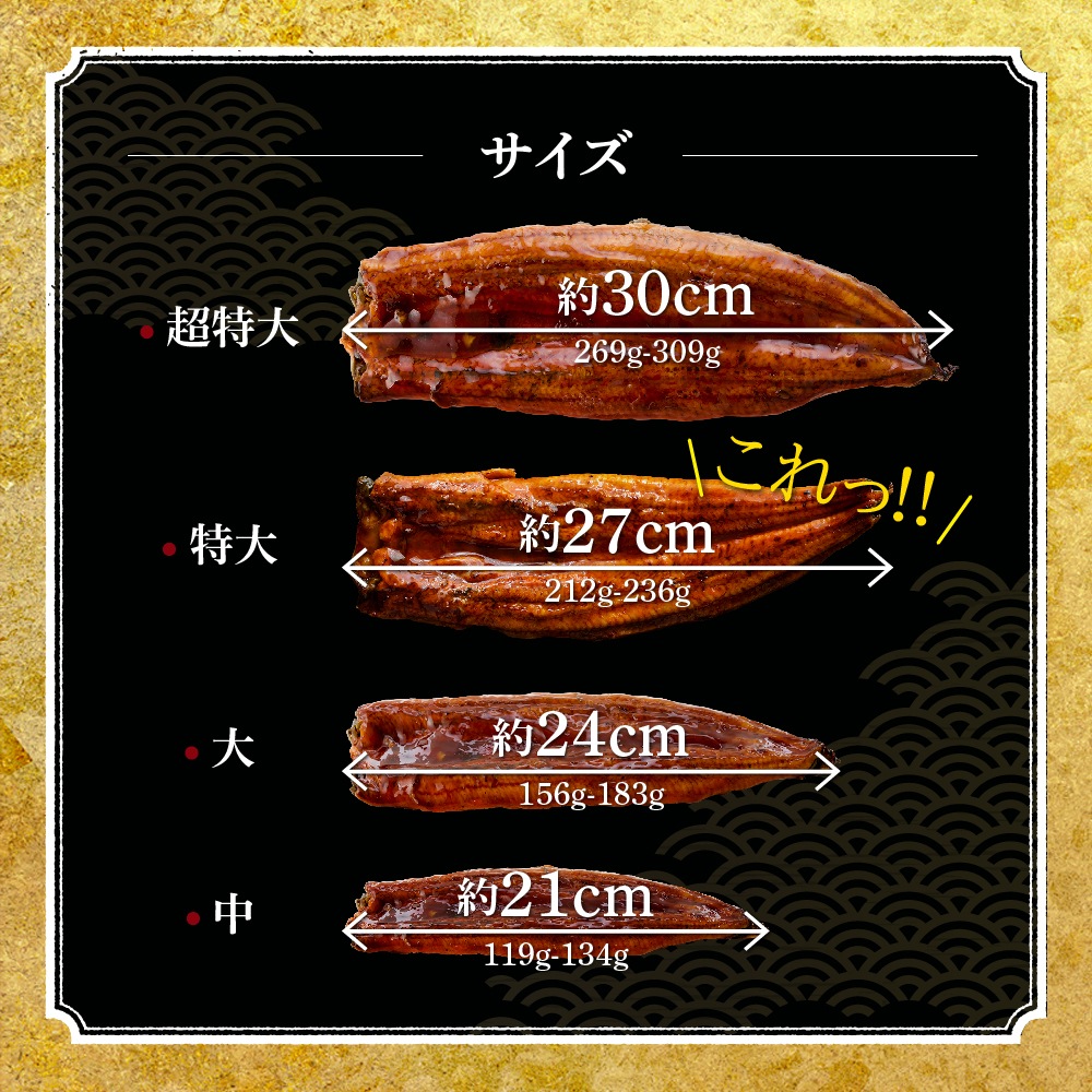 愛知三河産　超絶うなぎ蒲焼（212g-236g）×特大5尾