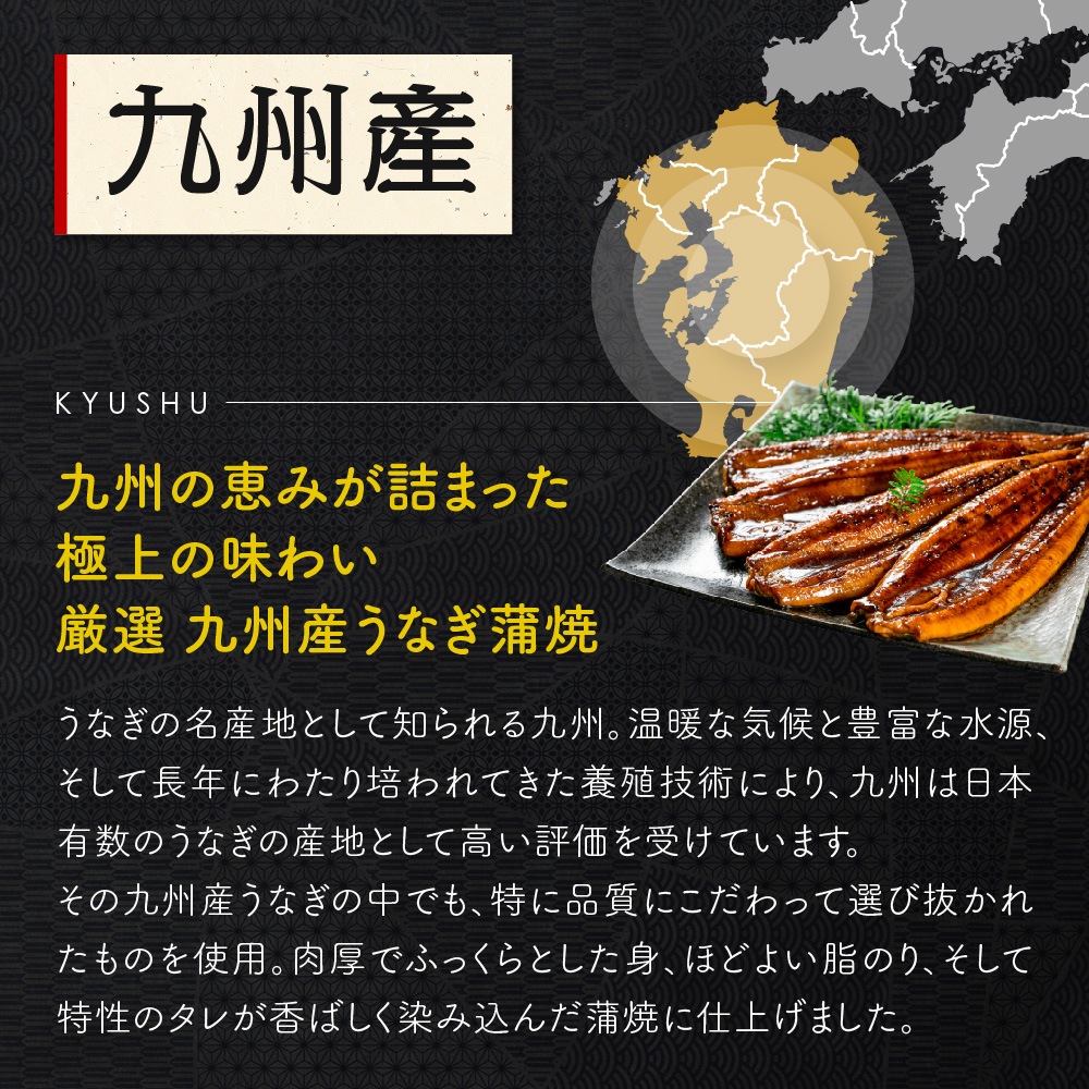 九州産 厳選うなぎ蒲焼（212g-236g）×特大1尾