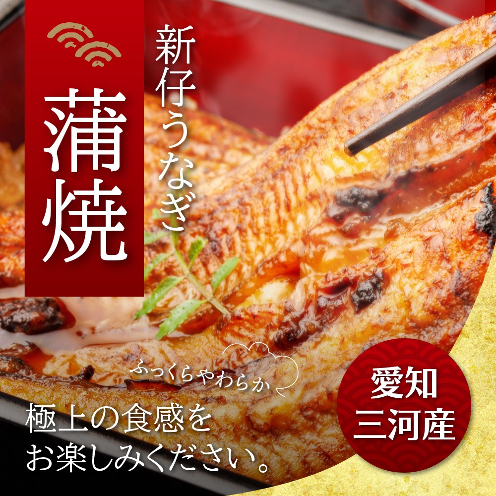 愛知三河産　2023年度加工　新仔うなぎ蒲焼（119g-134g）×中2尾