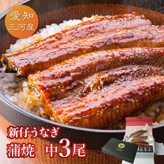 愛知三河産　2023年度加工　新仔うなぎ蒲焼（119g-134g）×中3尾