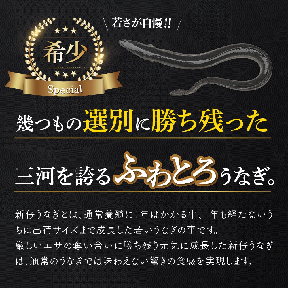 愛知三河産　2023年度加工　新仔うなぎ蒲焼（119g-134g）×中3尾
