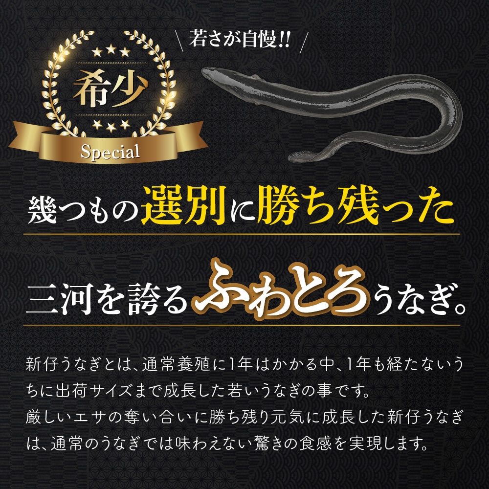 愛知三河産 2023年度加工 新仔うなぎ蒲焼(119g-134g)×中5尾