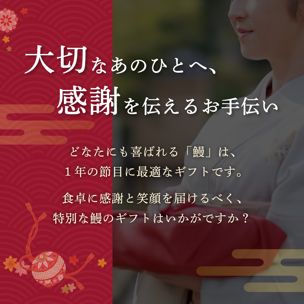 【お歳暮セット】愛知三河産　超絶うなぎレトルト蒲焼　5枚