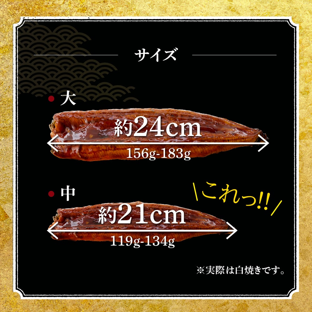 愛知三河産 超絶うなぎ白焼(119g-134g)×中3尾
