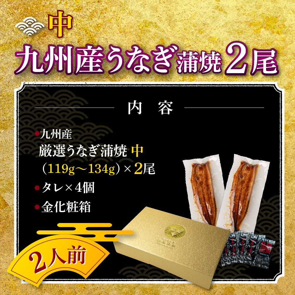九州産　厳選うなぎ蒲焼（119g-134g）×中2尾
