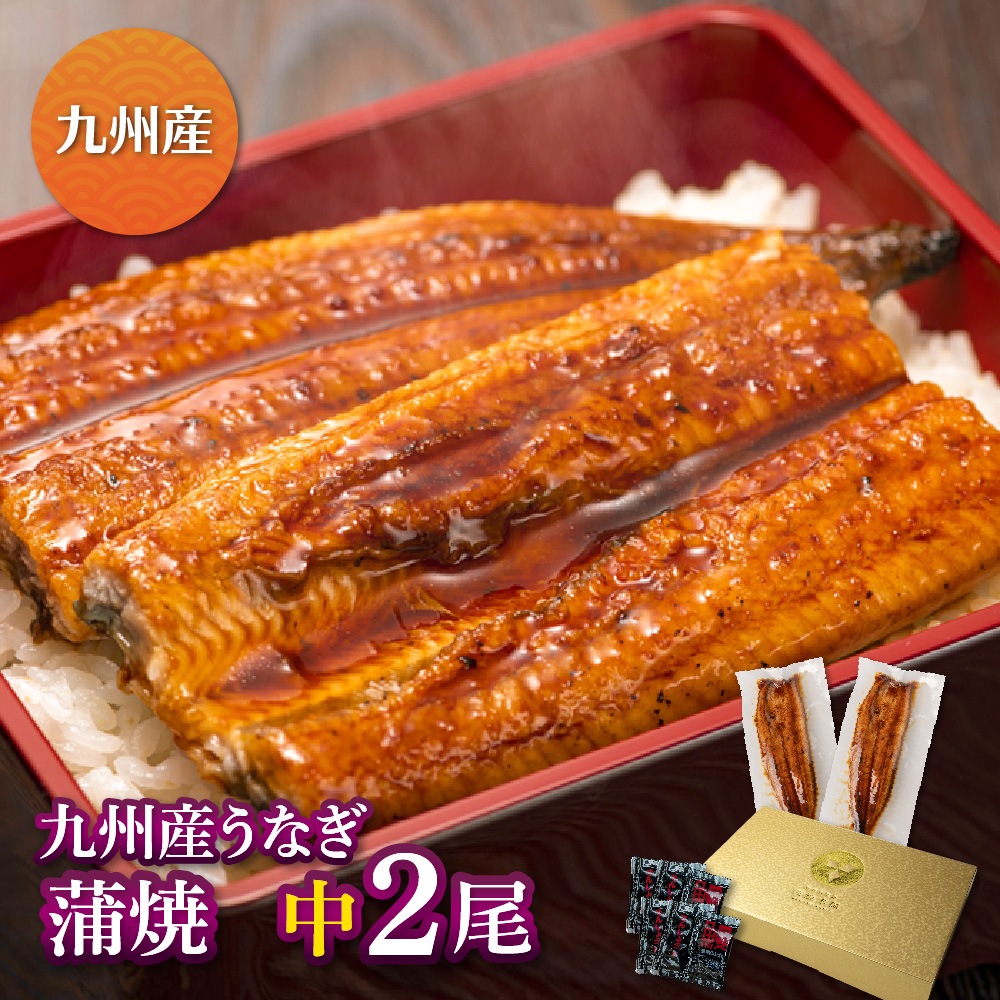 九州産　厳選うなぎ蒲焼（119g-134g）×中2尾