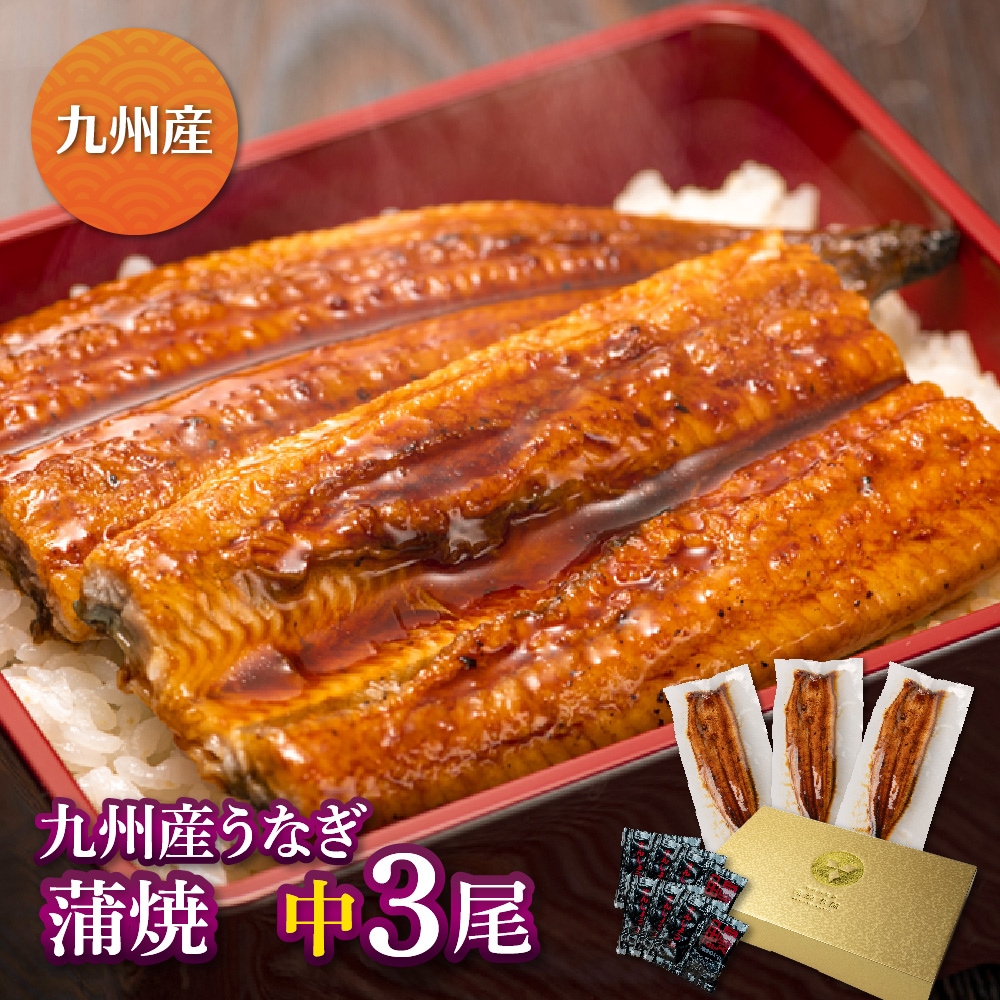 九州産　厳選うなぎ蒲焼（119g-134g）×中3尾