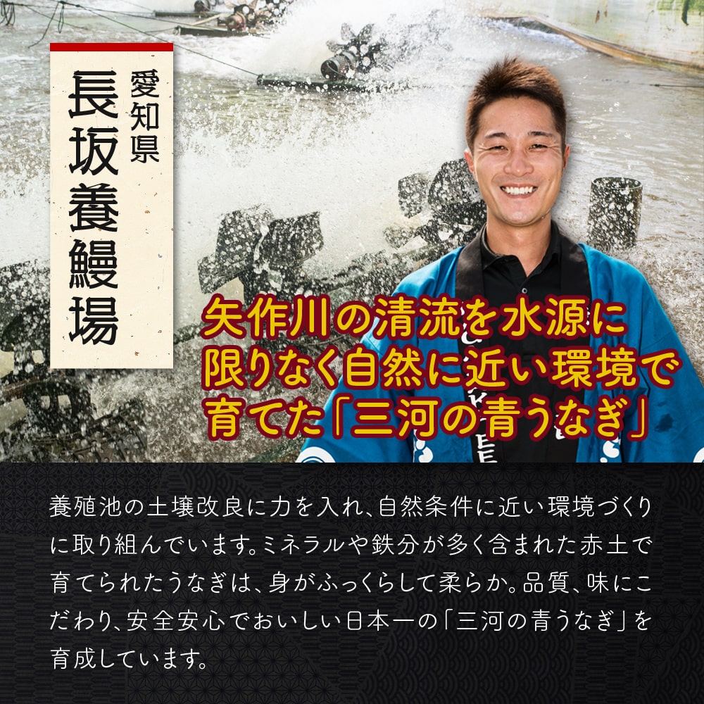 愛知三河一色産　長坂プレミアムセット　4人前