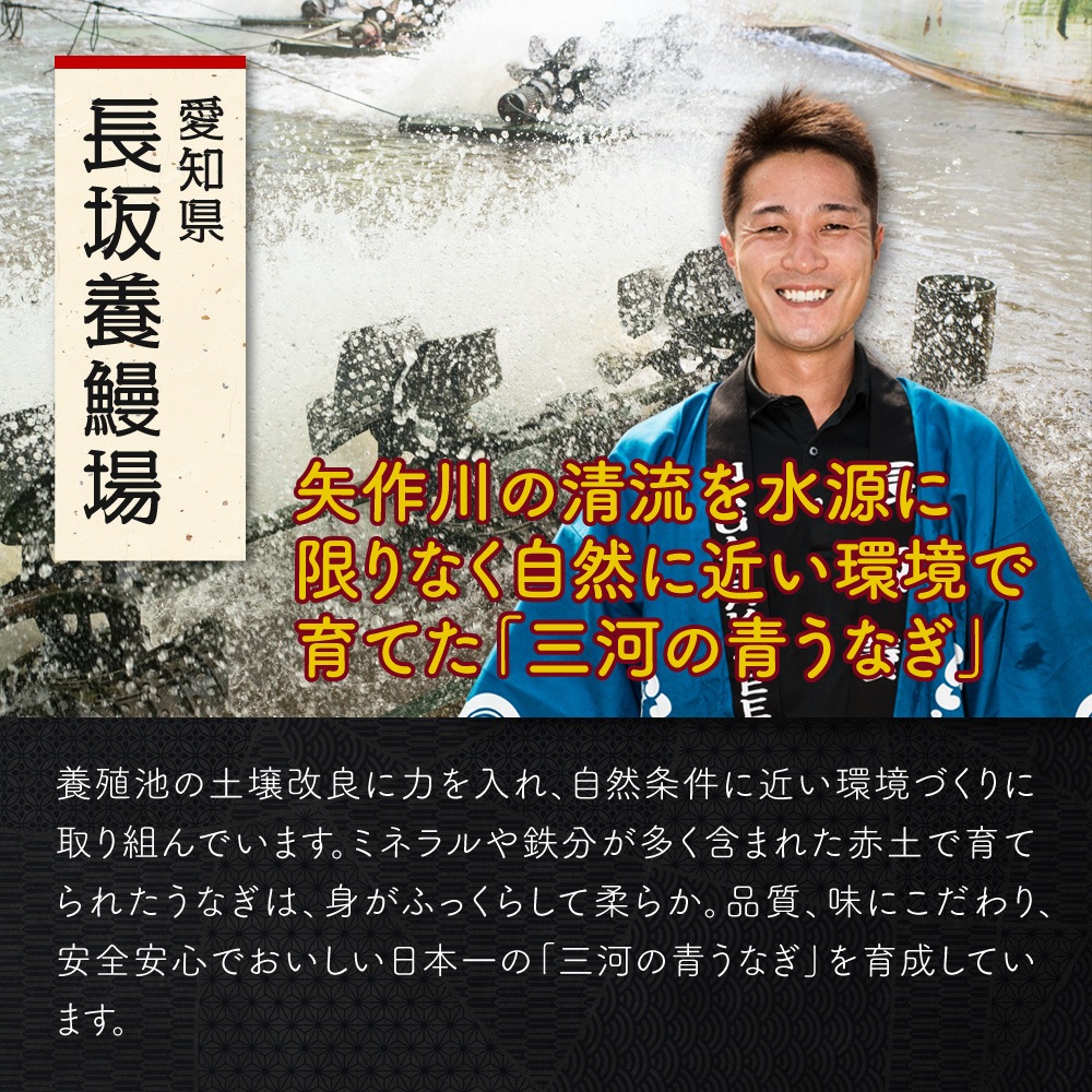 愛知三河一色産　巨匠の鰻蒲焼　(119g-134g)　3本　中