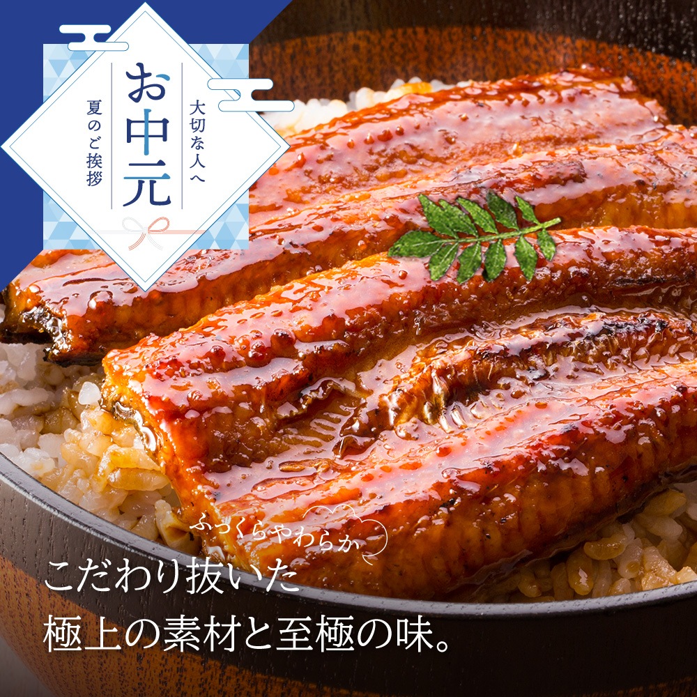 【お中元セット】愛知三河産　超絶うなぎ蒲焼（269g-309g）×超特大2尾