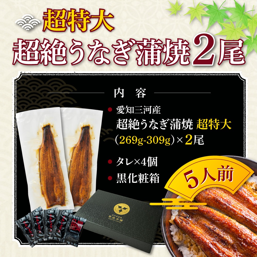 【お中元セット】愛知三河産　超絶うなぎ蒲焼（269g-309g）×超特大2尾