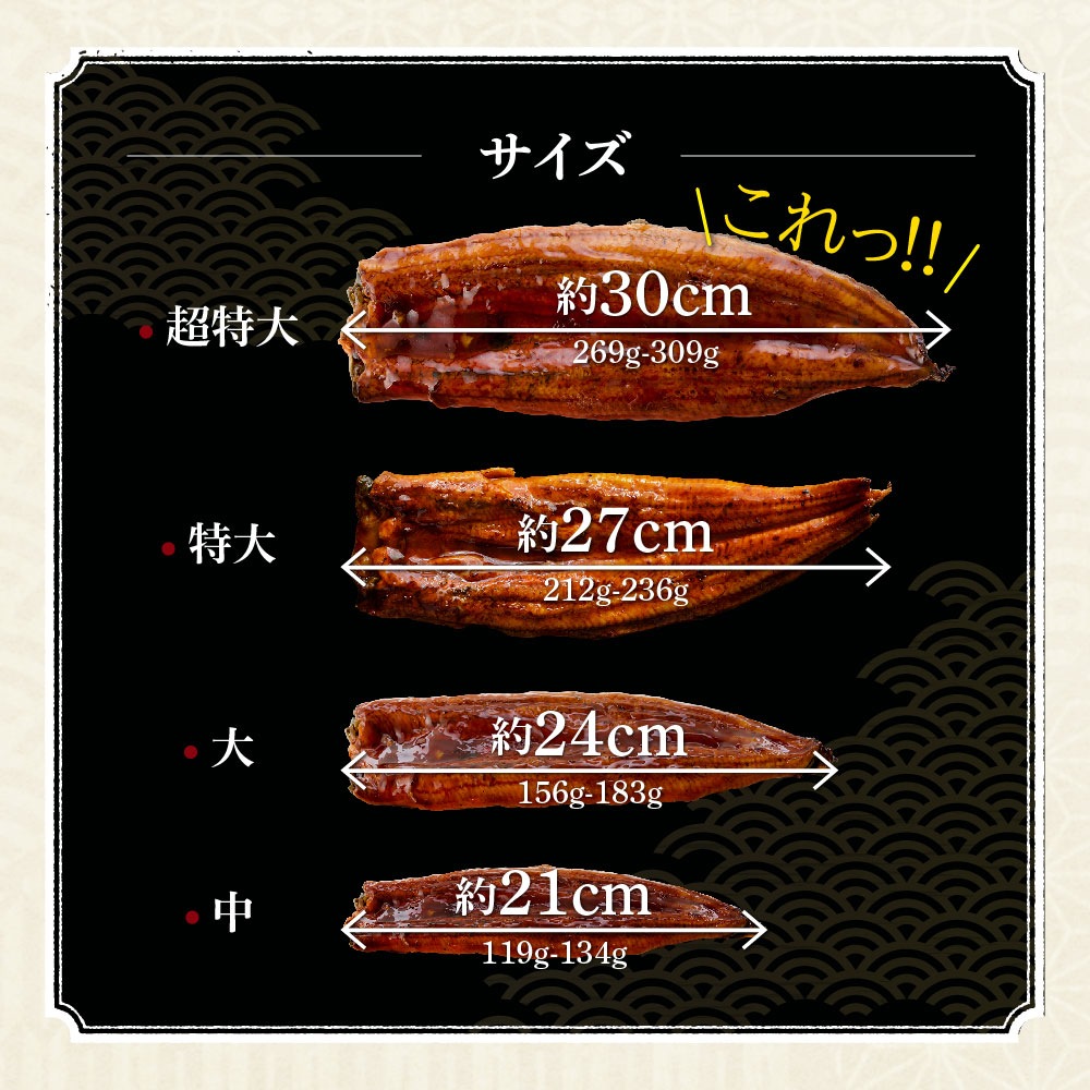 【お中元セット】愛知三河産　超絶うなぎ蒲焼（269g-309g）×超特大2尾