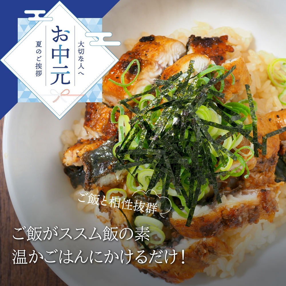 【お中元セット】愛知三河産　超絶うなぎ飯の素　5枚