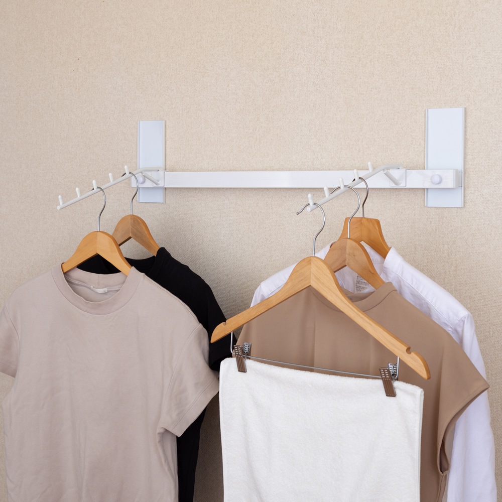 壁美人 Miseluハンガー フック2本 マグネットカバー付 | 収納