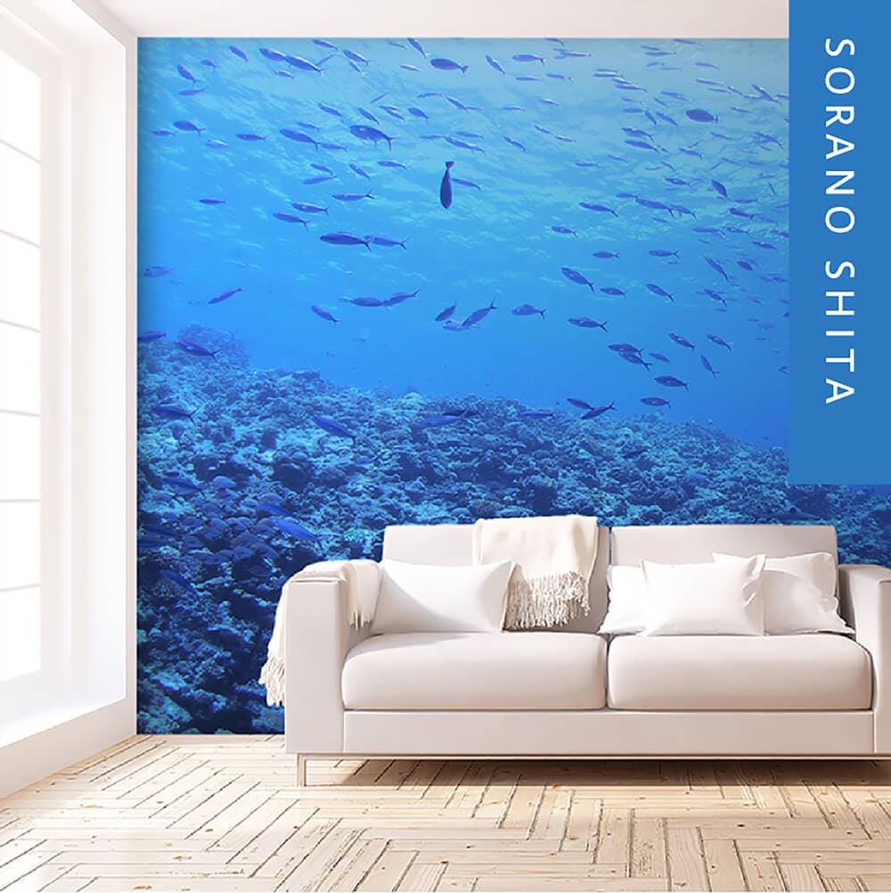 Graphicbaseオンラインショップ サイズオーダー 写真壁紙 シート 海 海中 そらのした H Ss Graphicbaseオンラインショップ サイズオーダー 写真壁紙 シート 海 海中 そらのした H Ss