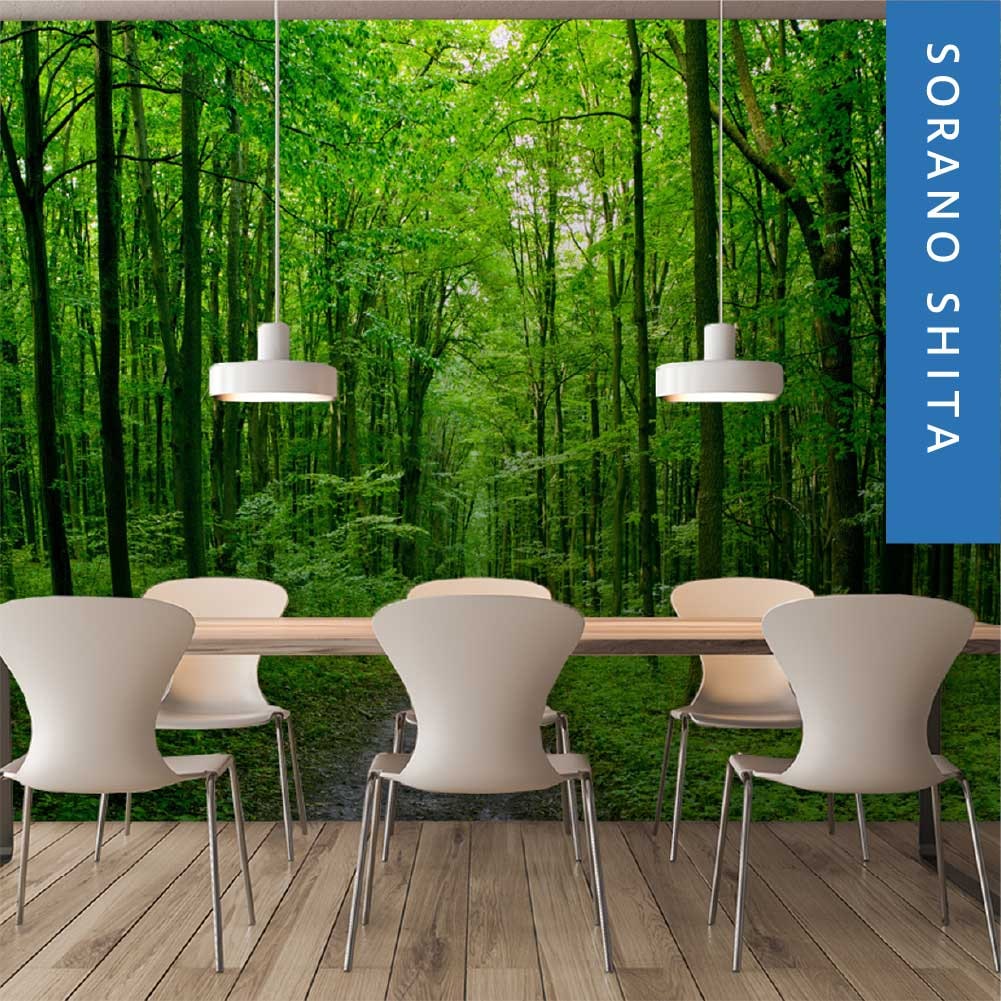 Graphicbaseオンラインショップ サイズオーダー 写真壁紙 シート 森 森の中 そらのした H Ss0070