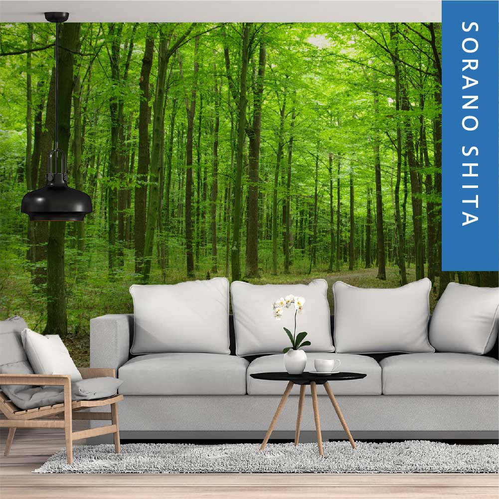 Graphicbaseオンラインショップ サイズオーダー 写真壁紙 シート 森 森の中 そらのした H Ss