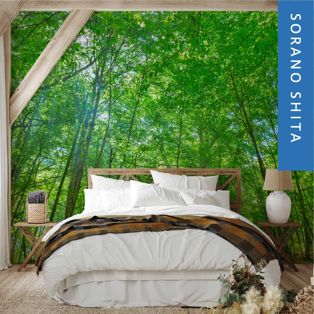 絵画　森の中 /海　原画　2Lサイズ　春の風2 Lサイズ 額縁無し　3枚 絵画 森の中 /海 原画 2Lサイズ 春の風2 Lサイズ 額縁無し 3