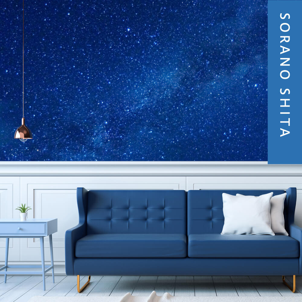 オリジナルオーダーページ制作▼オーダーページ 楽天市場】シュナイダー Schneider ボールペン M 中字