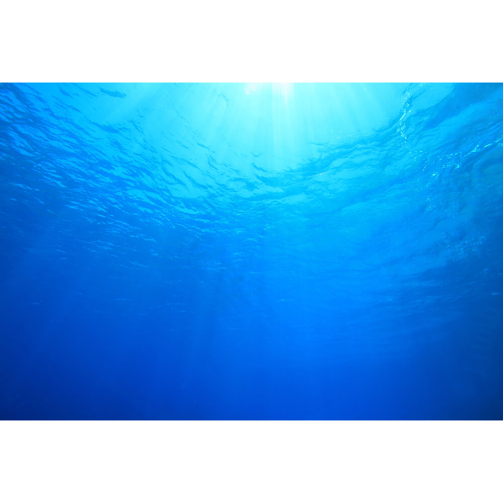 Graphicbaseオンラインショップ サイズオーダー 写真壁紙 シート 海 海中 そらのした H Ss