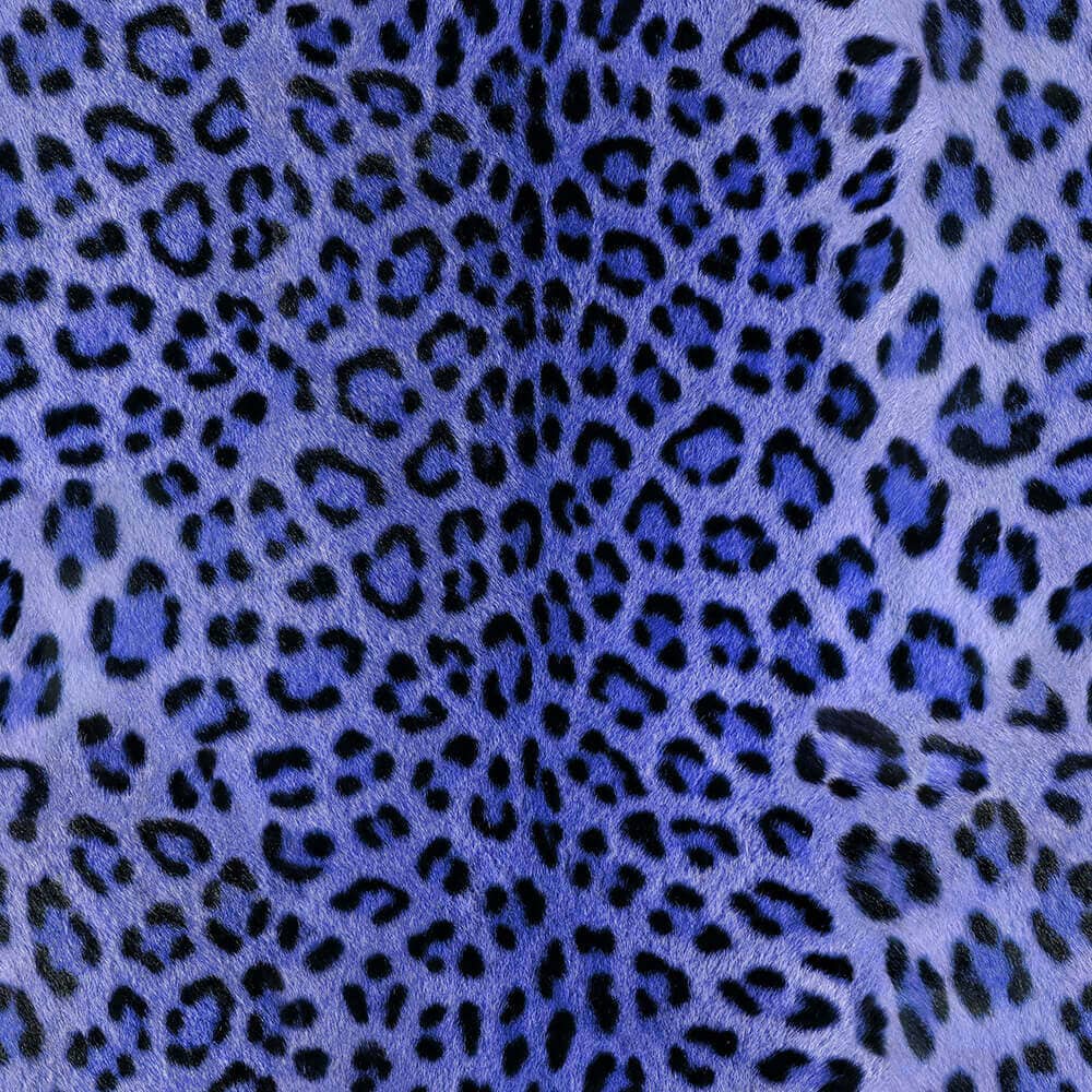 GraphicBaseオンラインショップ | 【1m単位 切り売り】壁紙 パターン