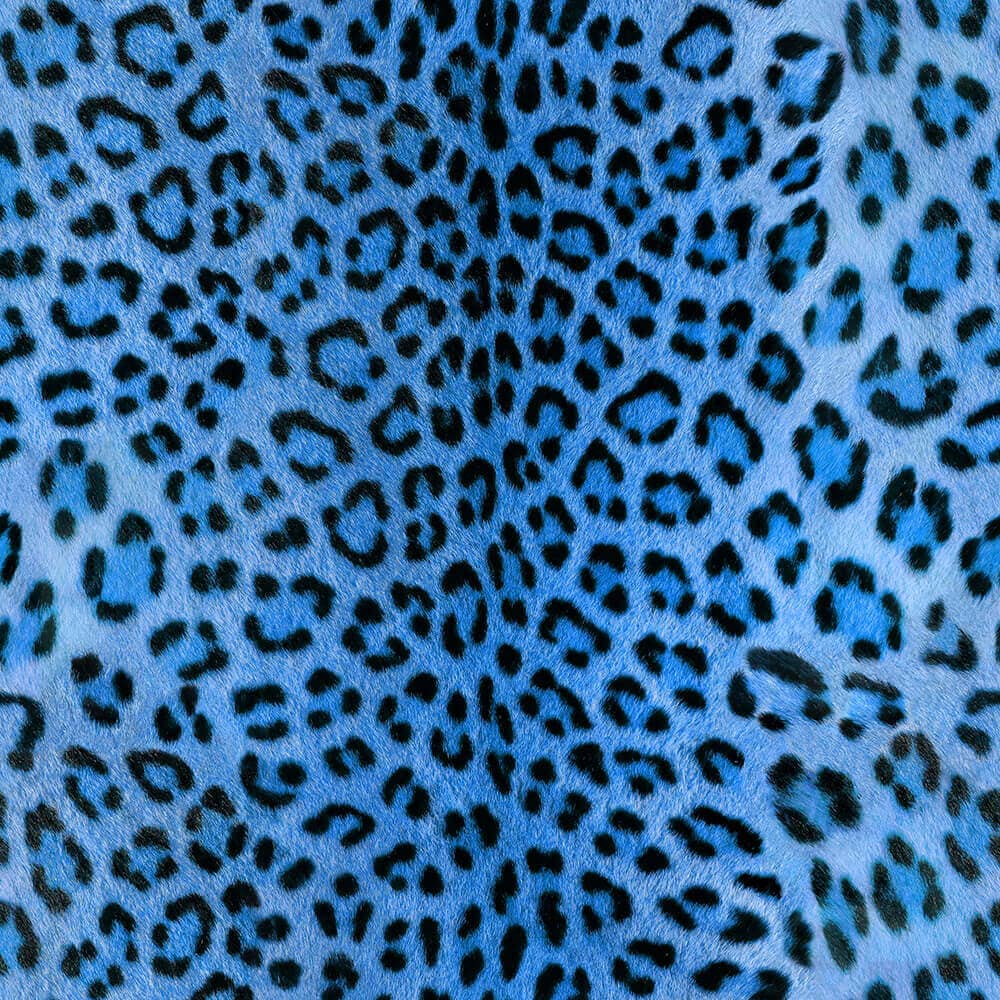126 クロヒョウ Leopard ( Black Panther） – 「Wildlife Photo