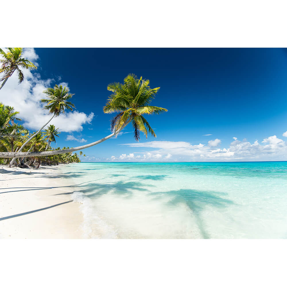 ♥むっち♥ ♡♬.*゜様♥️オーダーページ　フラットポーチ両面パネル ♥むっち♥ ♡♬.*゜様♥️オーダーページ フラットポーチ両面パネル ♥